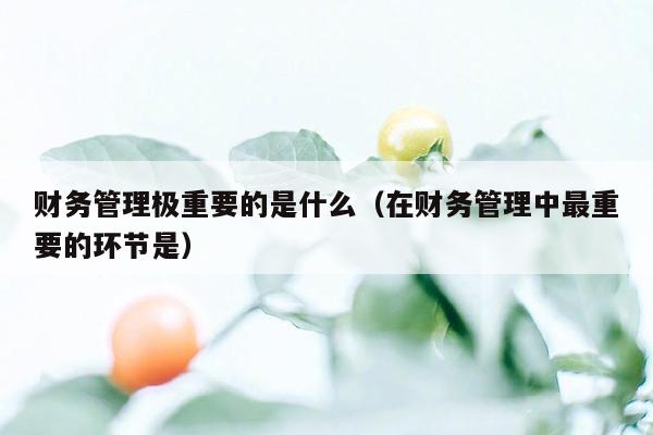 财务管理极重要的是什么（在财务管理中最重要的环节是）
