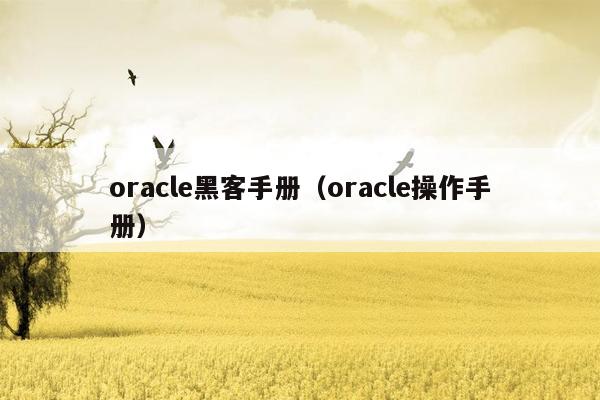 oracle黑客手册（oracle操作手册）