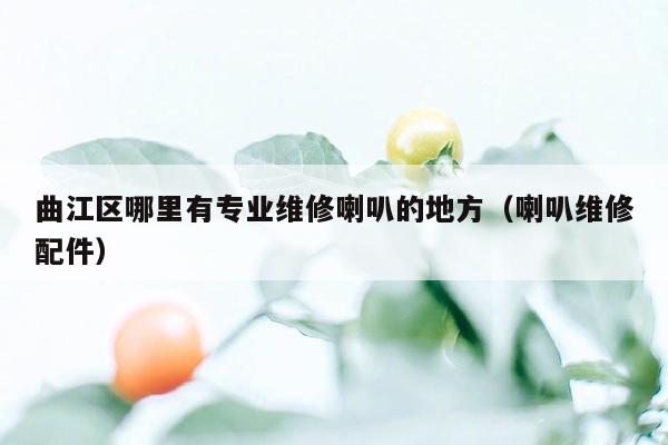 曲江区哪里有专业维修喇叭的地方（喇叭维修配件）