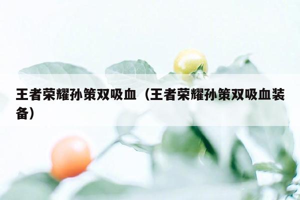 王者荣耀孙策双吸血（王者荣耀孙策双吸血装备）