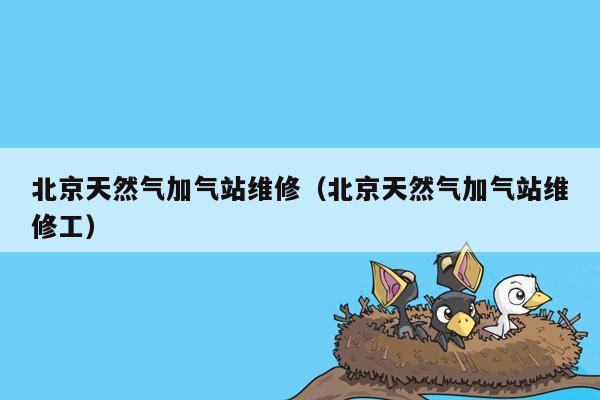 北京天然气加气站维修（北京天然气加气站维修工）