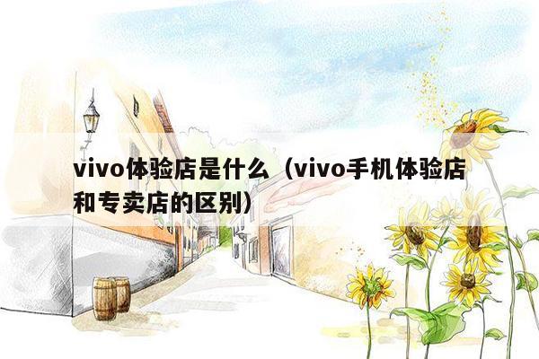 vivo体验店是什么（vivo手机体验店和专卖店的区别）