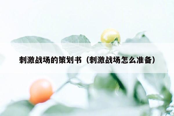 刺激战场的策划书（刺激战场怎么准备）