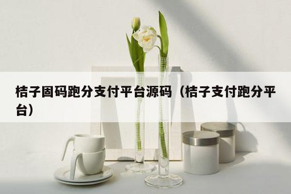 桔子固码跑分支付平台源码（桔子支付跑分平台）