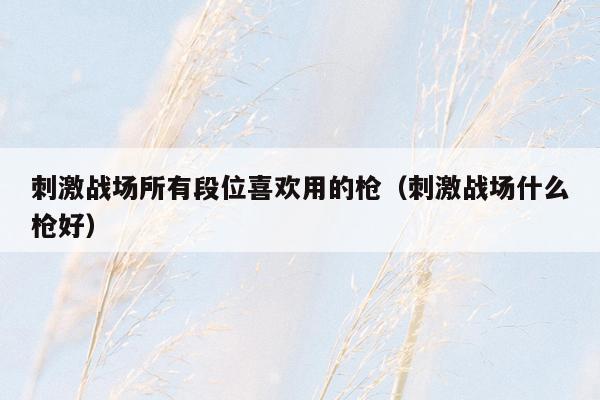 刺激战场所有段位喜欢用的枪（刺激战场什么枪好）