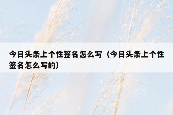 今日头条上个性签名怎么写（今日头条上个性签名怎么写的）