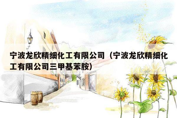 宁波龙欣精细化工有限公司（宁波龙欣精细化工有限公司三甲基苯胺）