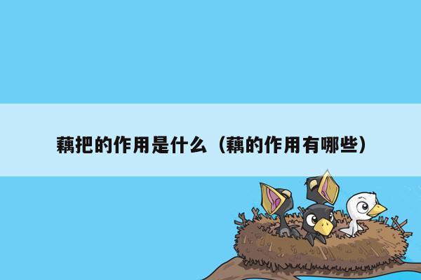 藕把的作用是什么（藕的作用有哪些）