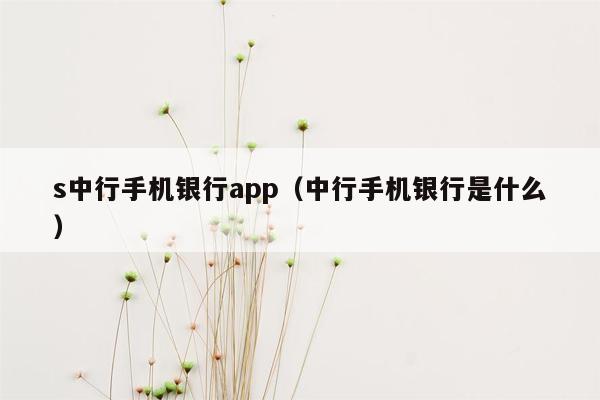 s中行手机银行app（中行手机银行是什么）