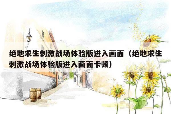 绝地求生刺激战场体验版进入画面（绝地求生刺激战场体验版进入画面卡顿）