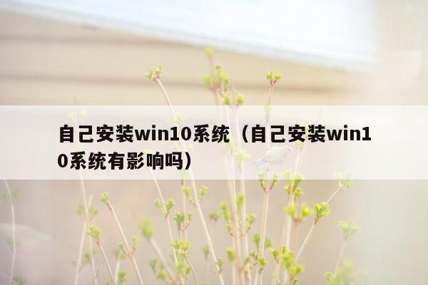 自己安装win10系统（自己安装win10系统有影响吗）