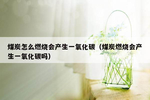 煤炭怎么燃烧会产生一氧化碳（煤炭燃烧会产生一氧化碳吗）