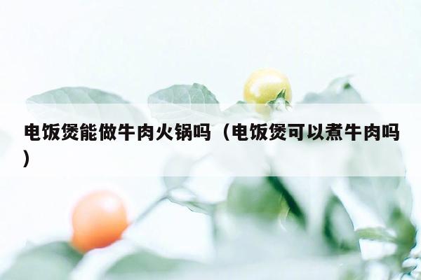 电饭煲能做牛肉火锅吗（电饭煲可以煮牛肉吗）