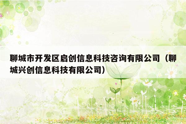聊城市开发区启创信息科技咨询有限公司（聊城兴创信息科技有限公司）