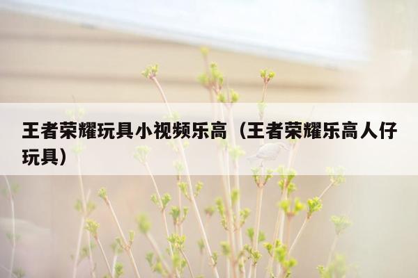 王者荣耀玩具小视频乐高（王者荣耀乐高人仔玩具）