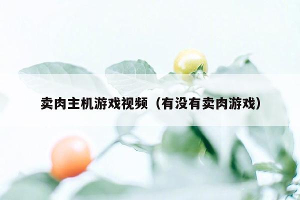 卖肉主机游戏视频（有没有卖肉游戏）