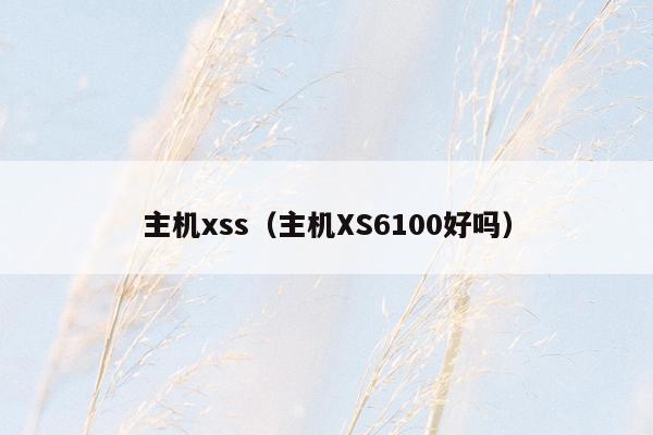 主机xss（主机XS6100好吗）