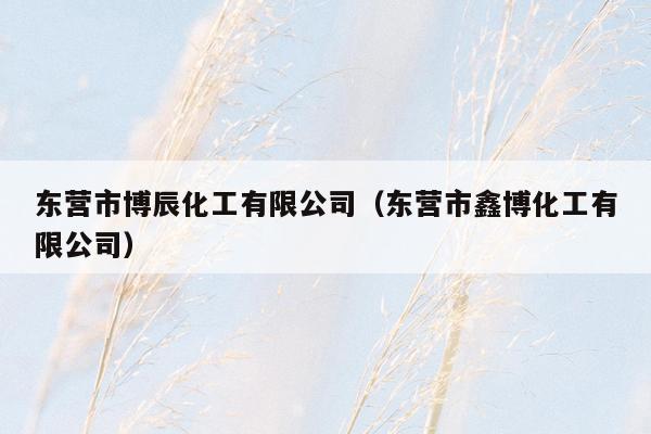东营市博辰化工有限公司（东营市鑫博化工有限公司）