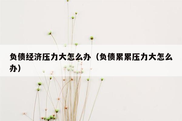负债经济压力大怎么办（负债累累压力大怎么办）