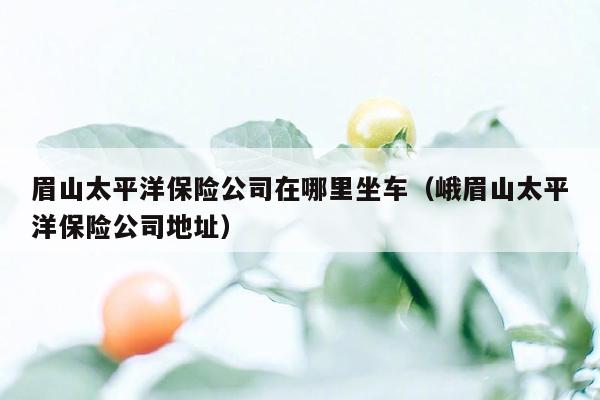 眉山太平洋保险公司在哪里坐车（峨眉山太平洋保险公司地址）