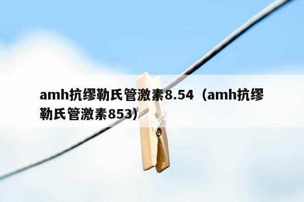 amh抗缪勒氏管激素8.54（amh抗缪勒氏管激素853）