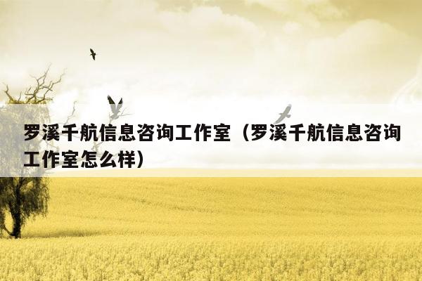 罗溪千航信息咨询工作室（罗溪千航信息咨询工作室怎么样）