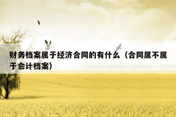 财务档案属于经济合同的有什么（合同属不属于会计档案）