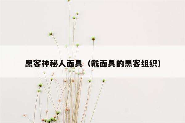 黑客神秘人面具（戴面具的黑客组织）