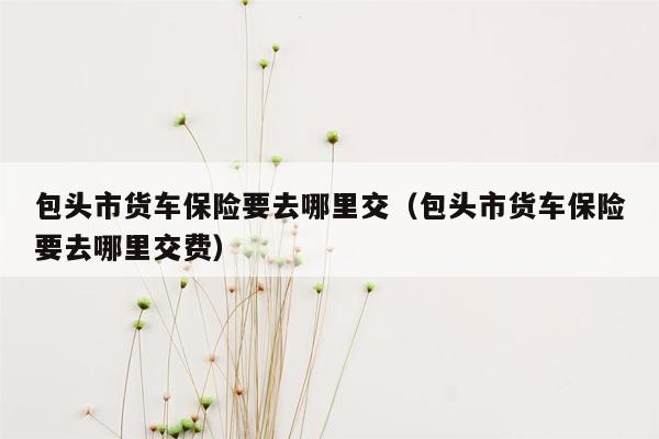 包头市货车保险要去哪里交（包头市货车保险要去哪里交费）