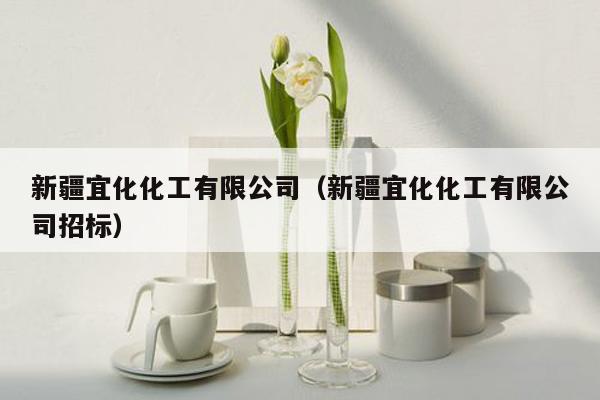 新疆宜化化工有限公司（新疆宜化化工有限公司招标）