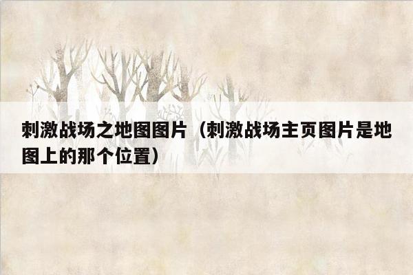刺激战场之地图图片（刺激战场主页图片是地图上的那个位置）