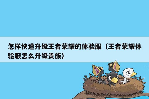 怎样快速升级王者荣耀的体验服（王者荣耀体验服怎么升级贵族）