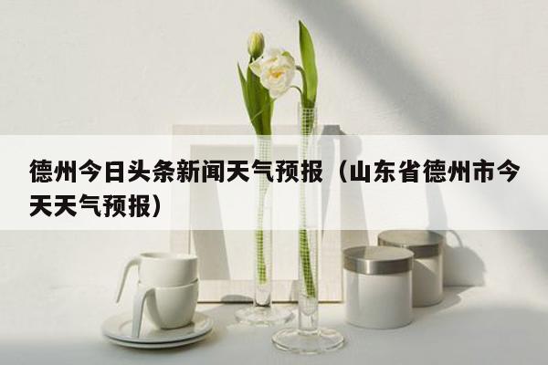 德州今日头条新闻天气预报（山东省德州市今天天气预报）