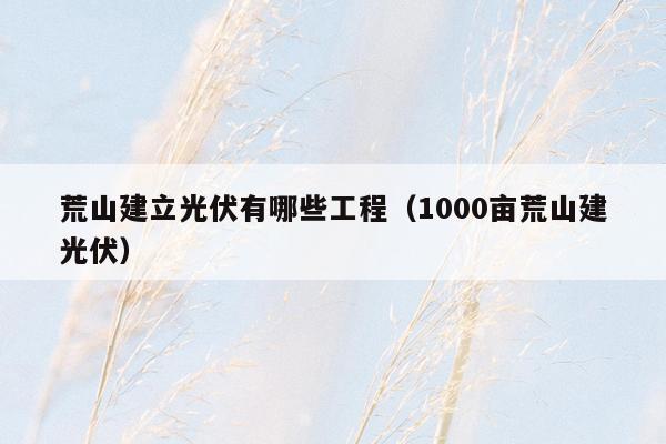 荒山建立光伏有哪些工程（1000亩荒山建光伏）