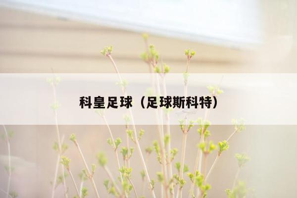 科皇足球（足球斯科特）