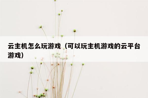 云主机怎么玩游戏（可以玩主机游戏的云平台游戏）