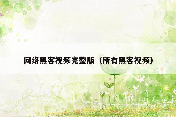 网络黑客视频完整版（所有黑客视频）
