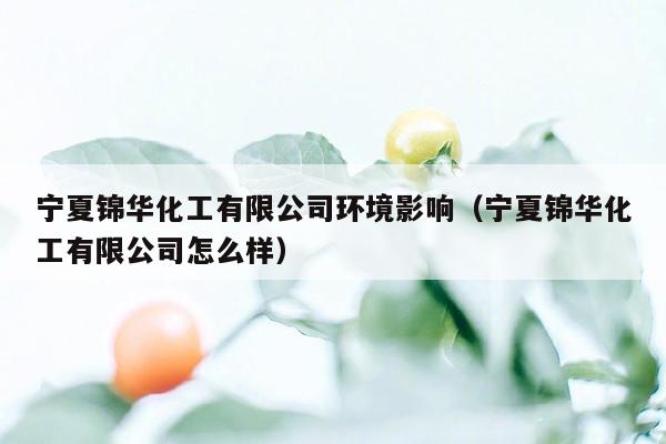 宁夏锦华化工有限公司环境影响（宁夏锦华化工有限公司怎么样）