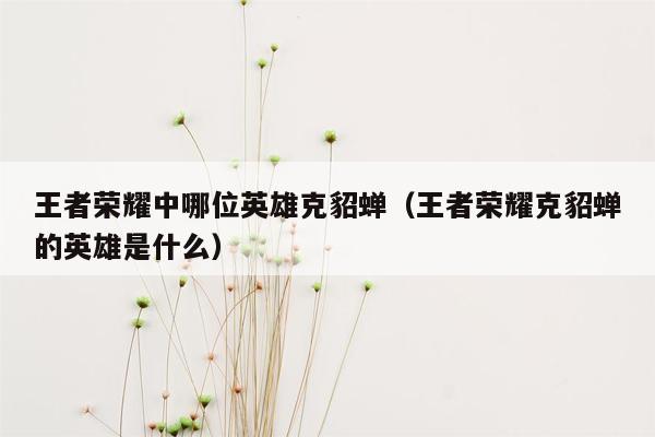 王者荣耀中哪位英雄克貂蝉（王者荣耀克貂蝉的英雄是什么）