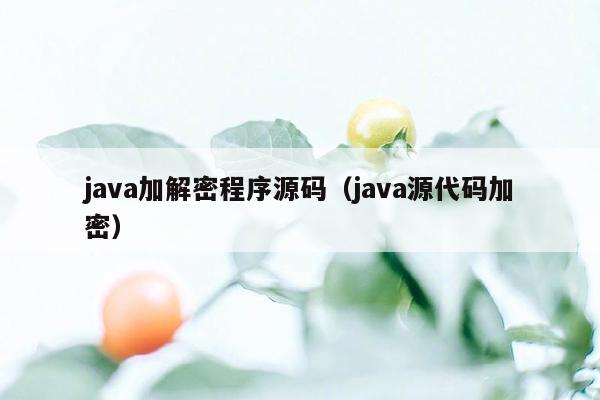 java加解密程序源码（java源代码加密）