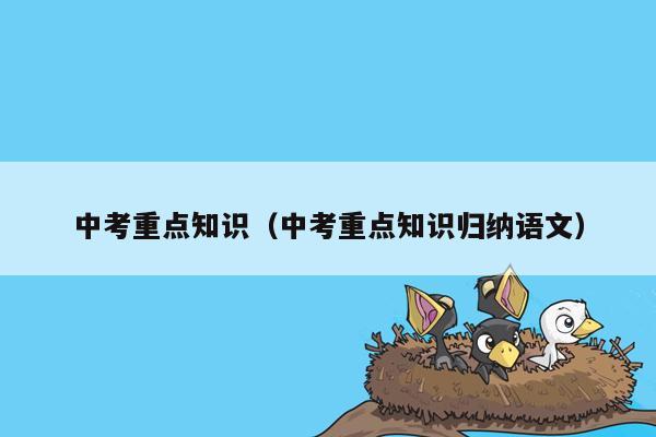 中考重点知识（中考重点知识归纳语文）