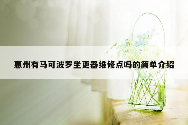 惠州有马可波罗坐更器维修点吗的简单介绍
