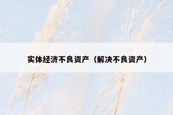 实体经济不良资产（解决不良资产）