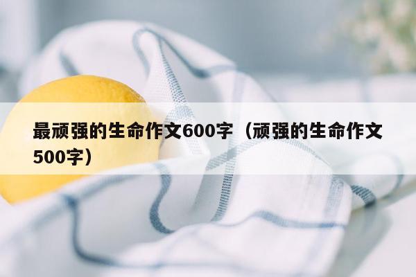 最顽强的生命作文600字（顽强的生命作文500字）