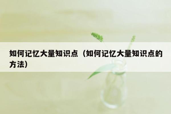 如何记忆大量知识点（如何记忆大量知识点的方法）