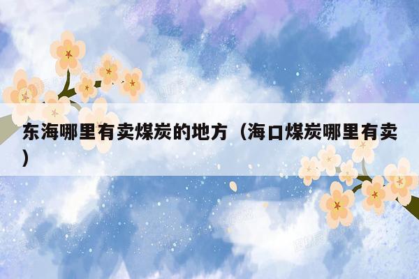 东海哪里有卖煤炭的地方（海口煤炭哪里有卖）
