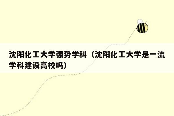 沈阳化工大学强势学科（沈阳化工大学是一流学科建设高校吗）