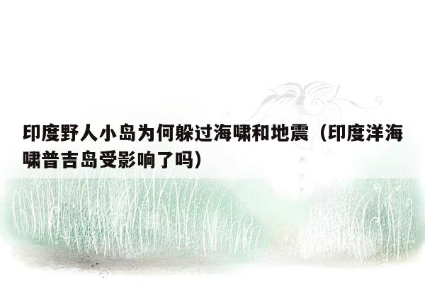 印度野人小岛为何躲过海啸和地震（印度洋海啸普吉岛受影响了吗）