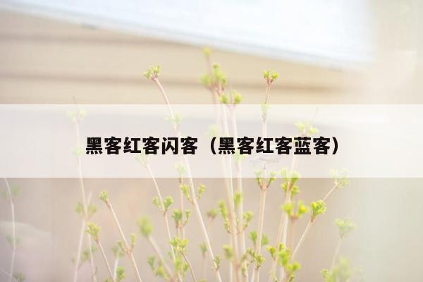 黑客红客闪客（黑客红客蓝客）