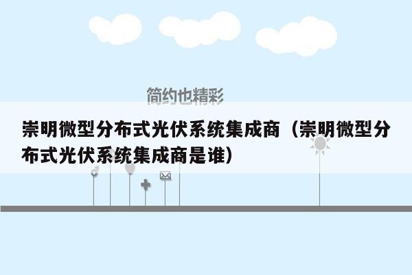 崇明微型分布式光伏系统集成商（崇明微型分布式光伏系统集成商是谁）